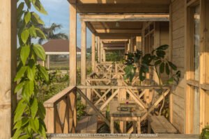 waterscape depictions by prachi khasgiwala 5